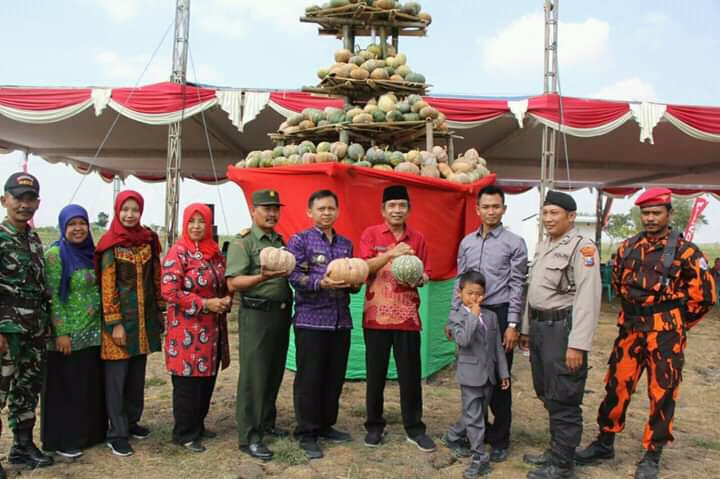 Foto : Wabup Bojonegoro, Budi Irawanto mengapresiasi Festival Waluh Desa Kumpulrejo, Kecamatan Kapas, Kabupaten Bojonegoro, Kamis (14/08/2019).