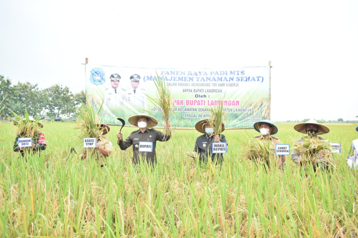 Foto : Bupati Lamongan, Yuhronur Efendi hadiri Panen Raya Padi MTS Pasbesur di Desa Besur, Kecamatan Sekaran, Kabupaten Lamongan, Selasa (06/04/2021).